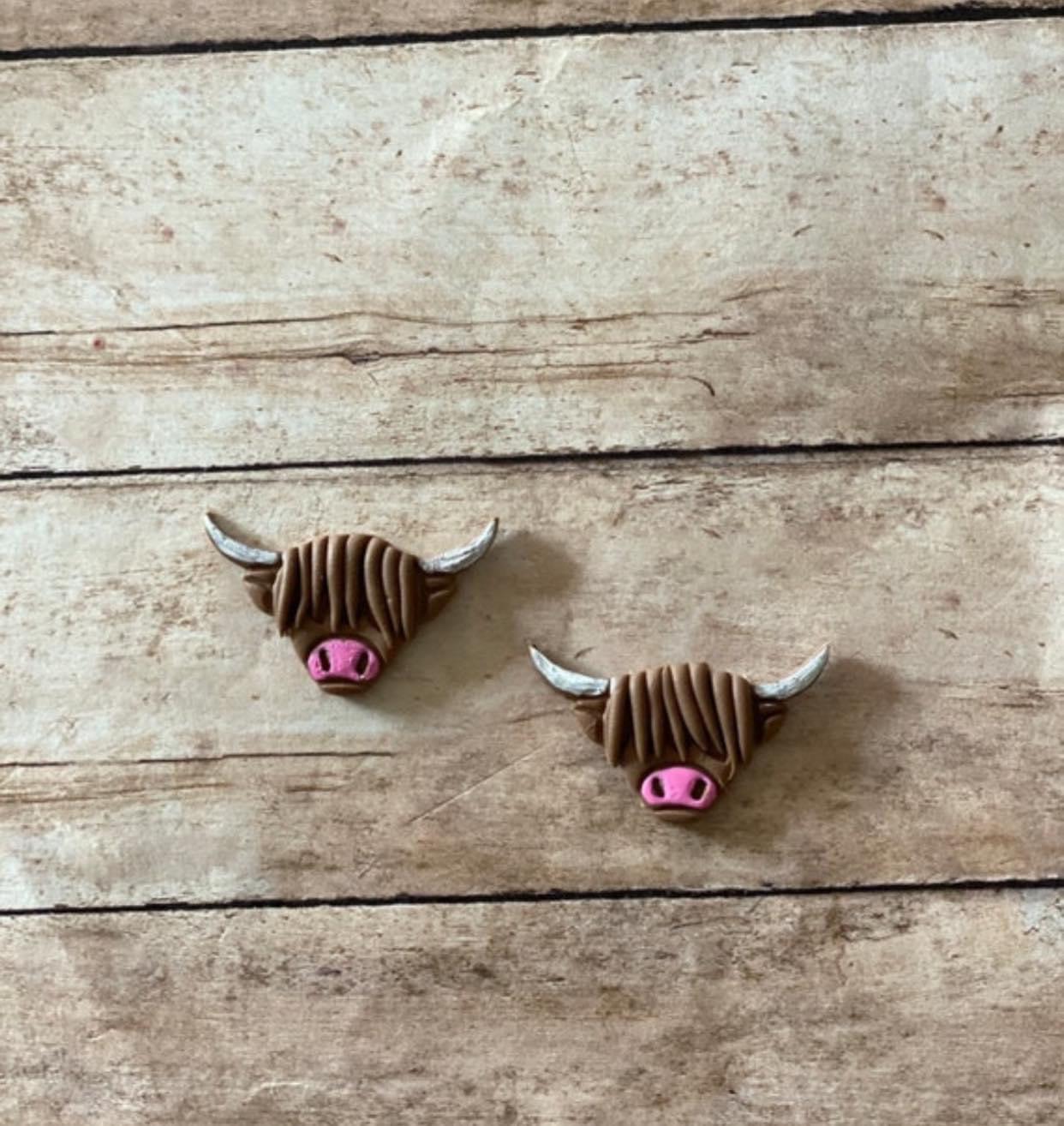 Highland cow studs